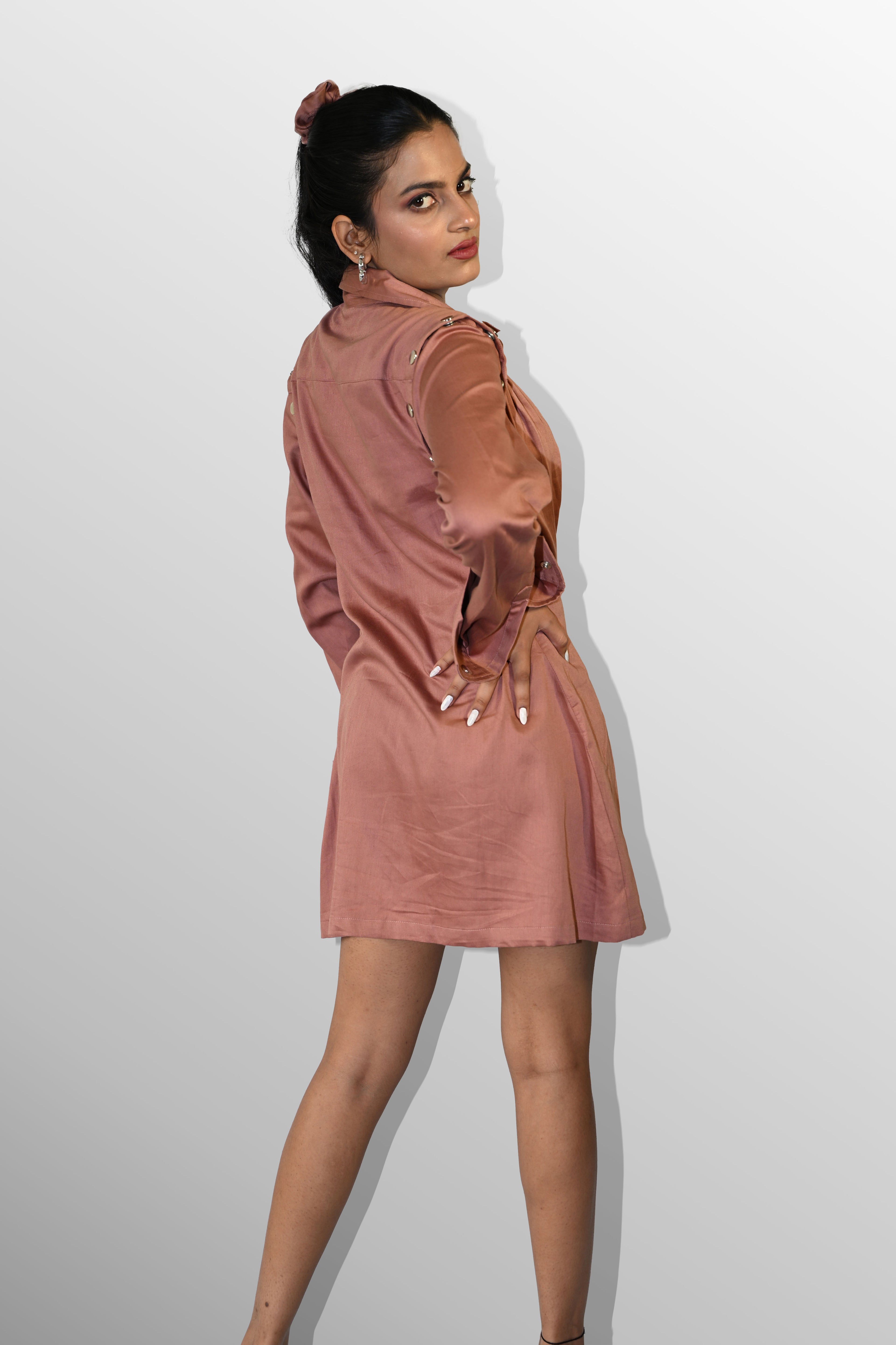 Brown Shirt dress